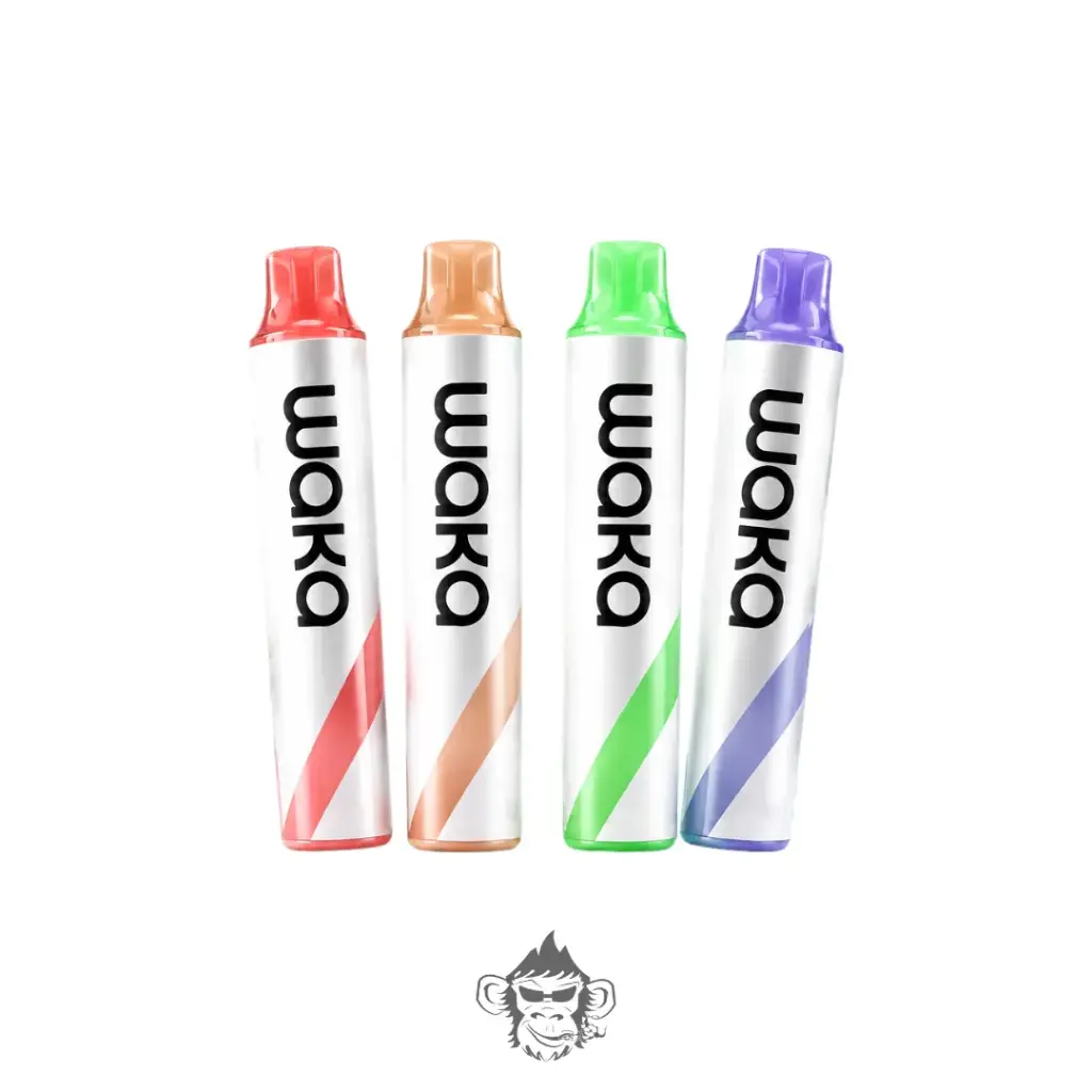 Waka GO 10k Puffs Miami Mint